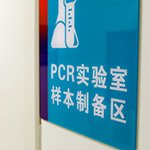 核酸检测最快3.5小时出结果是怎么做到的？